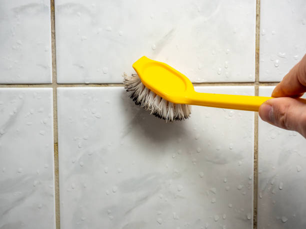 Best Emergency Mold Removal  in Hobart, WA