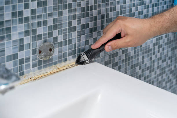 Best Mold Removal and Inspection  in Hobart, WA